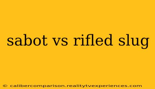 sabot vs rifled slug