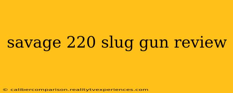 savage 220 slug gun review