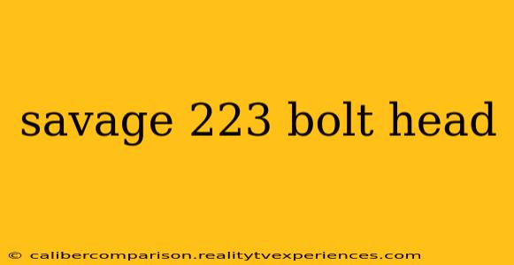 savage 223 bolt head