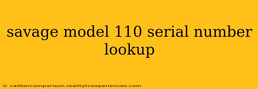 savage model 110 serial number lookup