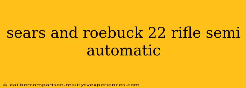 sears and roebuck 22 rifle semi automatic