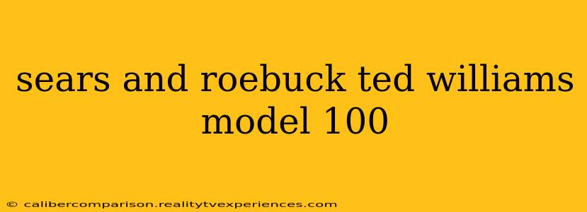 sears and roebuck ted williams model 100