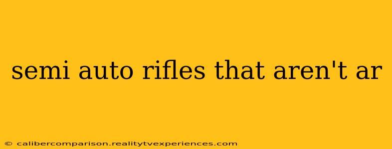 semi auto rifles that aren't ar