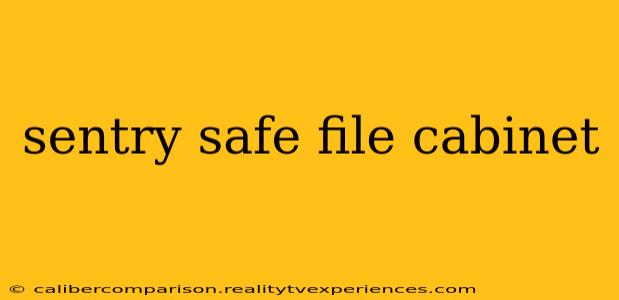 sentry safe file cabinet