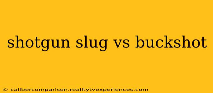 shotgun slug vs buckshot