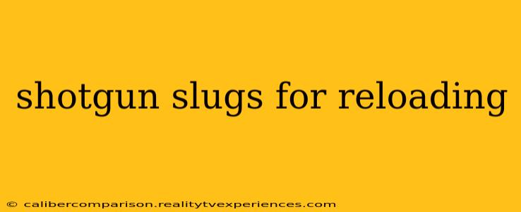 shotgun slugs for reloading