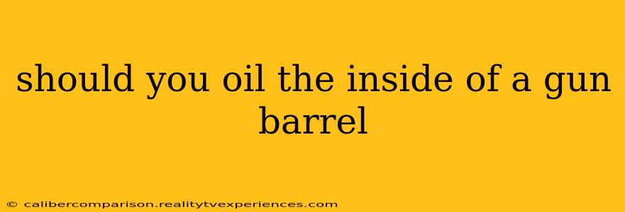 should you oil the inside of a gun barrel