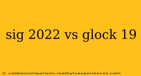 sig 2022 vs glock 19