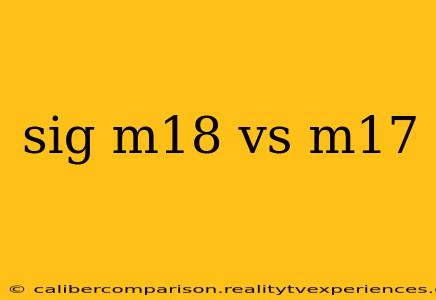 sig m18 vs m17