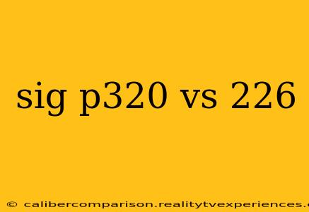 sig p320 vs 226