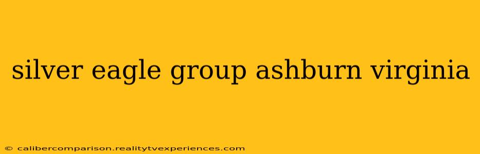 silver eagle group ashburn virginia