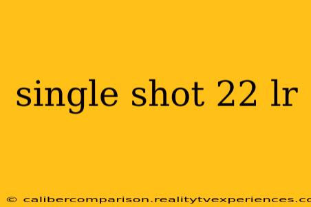 single shot 22 lr