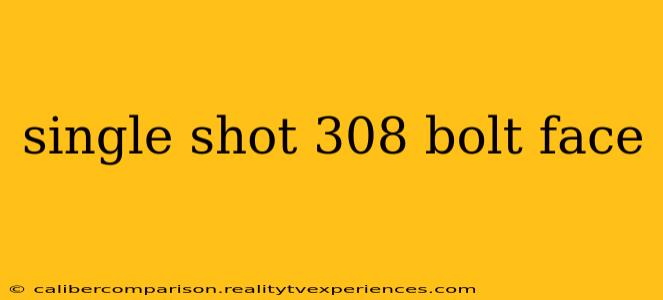 single shot 308 bolt face