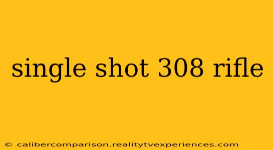 single shot 308 rifle