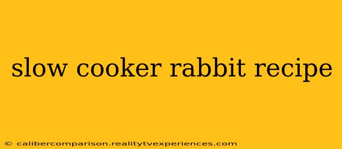 slow cooker rabbit recipe