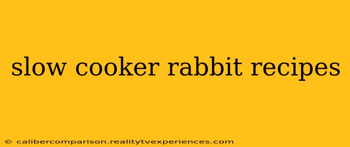 slow cooker rabbit recipes