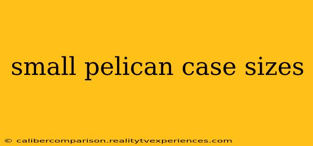 small pelican case sizes