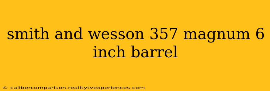 smith and wesson 357 magnum 6 inch barrel