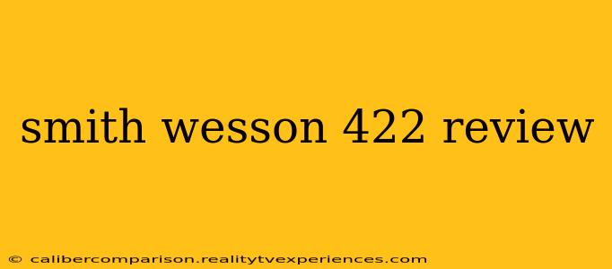 smith wesson 422 review