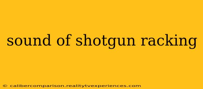 sound of shotgun racking