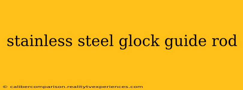 stainless steel glock guide rod