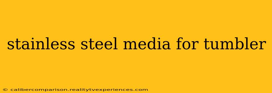 stainless steel media for tumbler