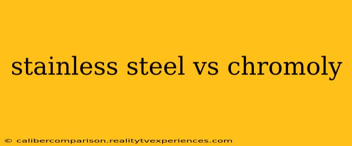 stainless steel vs chromoly