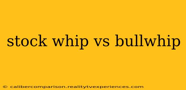 stock whip vs bullwhip