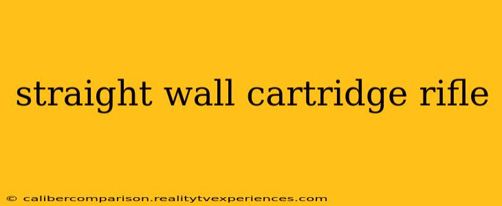 straight wall cartridge rifle