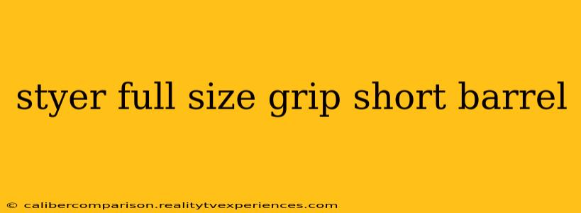 styer full size grip short barrel