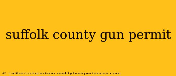 suffolk county gun permit