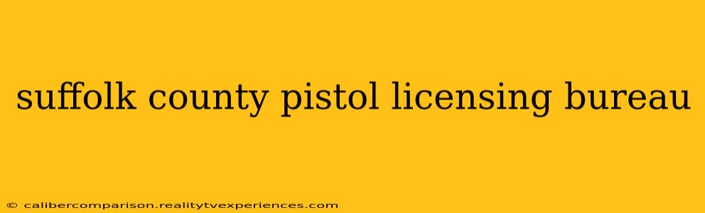 suffolk county pistol licensing bureau