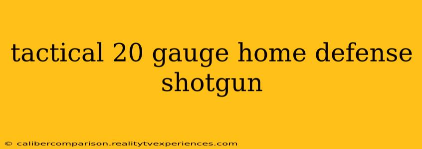 tactical 20 gauge home defense shotgun