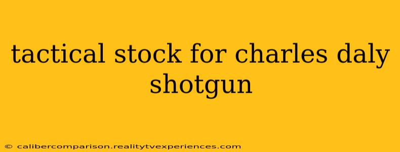 tactical stock for charles daly shotgun