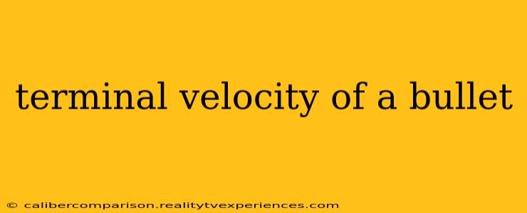 terminal velocity of a bullet