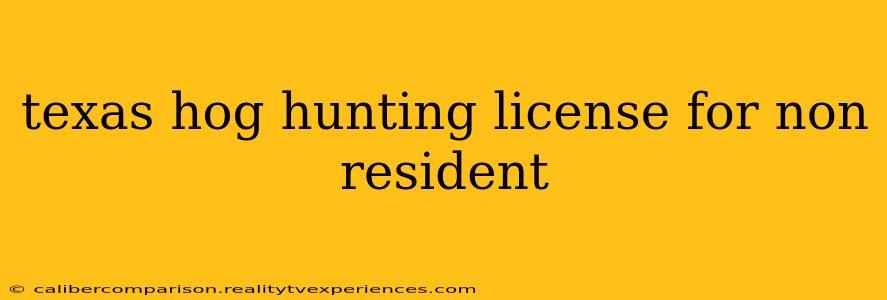 texas hog hunting license for non resident