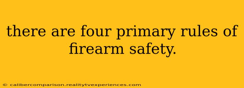 there are four primary rules of firearm safety.