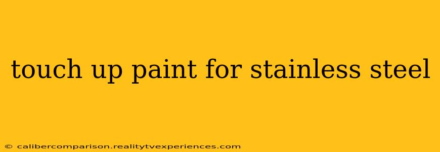 touch up paint for stainless steel