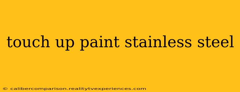 touch up paint stainless steel