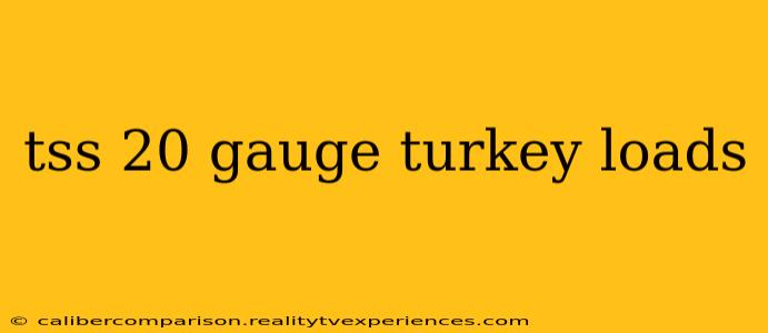 tss 20 gauge turkey loads