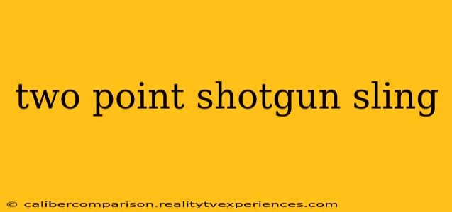 two point shotgun sling