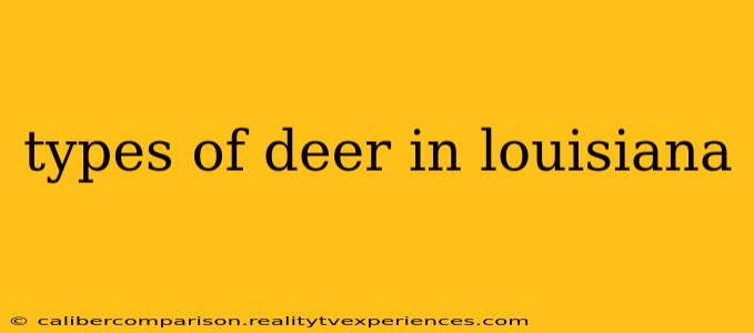 types of deer in louisiana