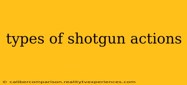 types of shotgun actions