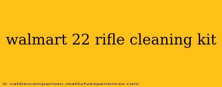 walmart 22 rifle cleaning kit