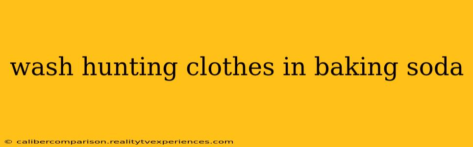 wash hunting clothes in baking soda