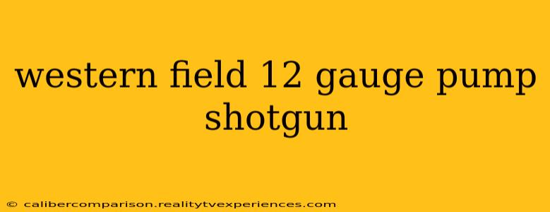 western field 12 gauge pump shotgun