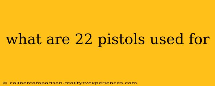 what are 22 pistols used for