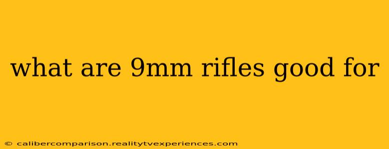 what are 9mm rifles good for