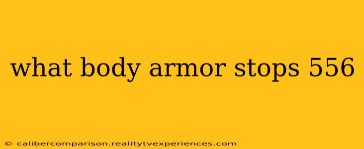 what body armor stops 556