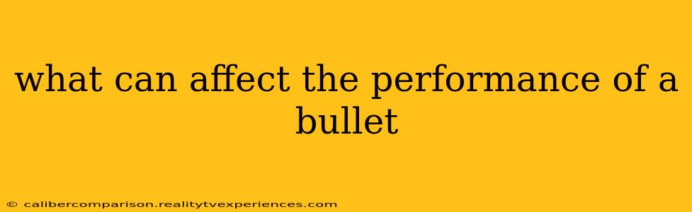 what can affect the performance of a bullet